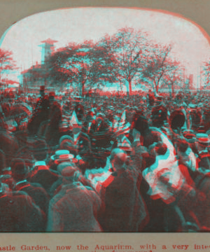 Castle Garden, now the aquarium, with a very interesting foreground [large crowd of people, some waving at a procession, in foreground]. 1865?-1910?