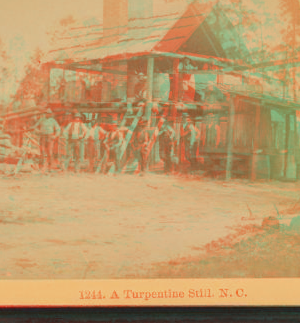 A turpentine still, N.C. 1865?-1903