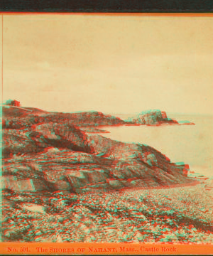 The shores of Nahant, Mass, Castle rock and Egg rock light. 1859?-1880?