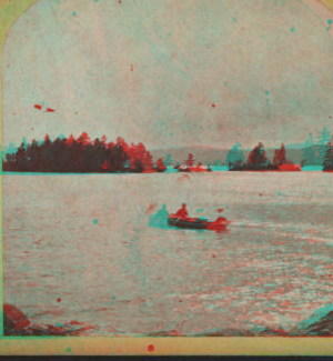 Hen and Chicken Islands. [1860?-1895?]