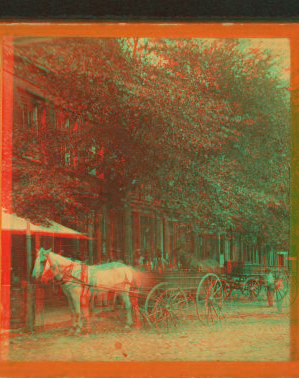 [View of a street with wagons and carriages.] 1867?-1890?