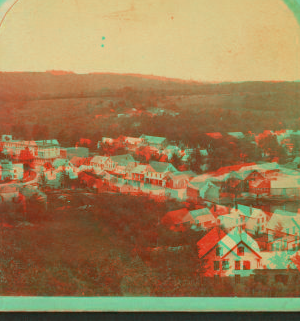 View of Wilton from Bales Hill. 1865?-1880? [ca. 1875]