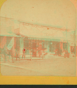 [View of a drug store.] 1868?-1885?