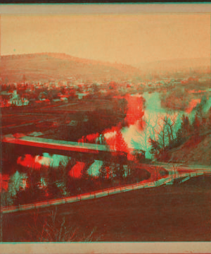 [View of a covered bridge.] 1865?-1896?