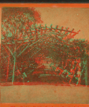 Boston Public Garden, rustic arbor, two views. 1865?-1890?