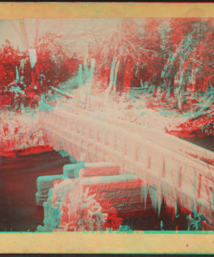 [Ice covered foot bridge, Niagara Falls.] [1859?-1885?]