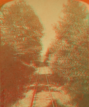 Switchback Railroad. The flats, looking [...] 1870?-1885?