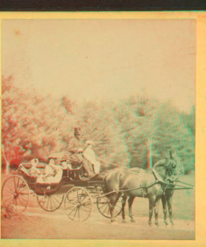 [People in coach with African American coachman.] 1860?-1869?