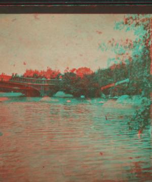 The Lake from the Ramble. [1860?-1900?]