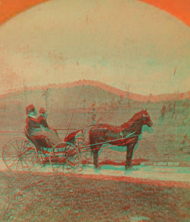 Carrie and Alfred with Alfred's pony 'Tim' [showing man and woman in small buggy]. 1869?-1910?