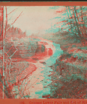 Genesee Lower Falls and Bed of River. [1879?-1890?]