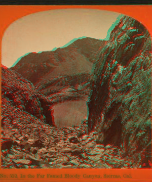 In the Far Famed Bloody Canyon, Sierras, Cal. 1870-1874 1864?-1905?