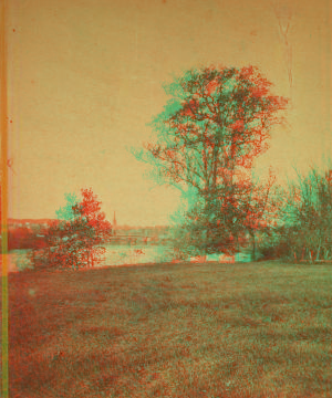 [View of trees and the river with city beyond.] 1865?-1880?