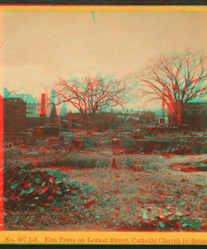 Elm trees on Locust Street, Catholic Church in distance. 1866