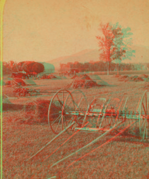 Haymaking and Meadows, North Conway, N.H. [ca. 1875] 1859?-1895?