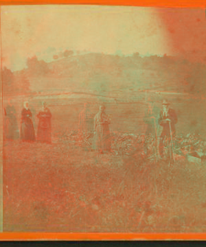 [Farmers in gardens.] 1865?-1885?