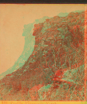 Profile, Franconia Notch. 1865?-1890?