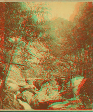 [Between the falls--Bish Bash.] 1865?-1905?