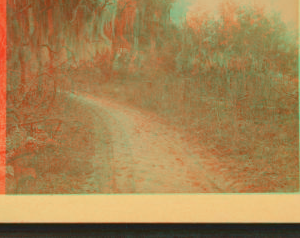 [View of a forest trail.] [ca. 1890] 1868?-1910?