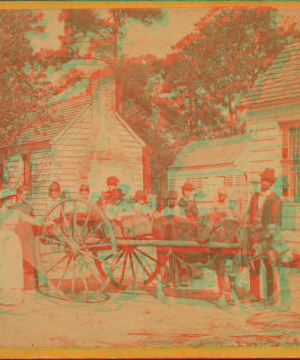 A family ride at Summerville, S.C. 1861?-1880?