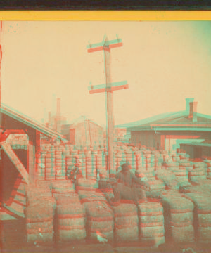 Cotton Depot [showing cotton bales in a yard]. 1865?-1903