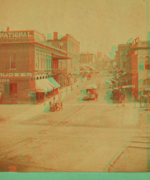 View on Washington Street [a commercial street with stores, street car and carts.] [1875?] 1870?-1900?