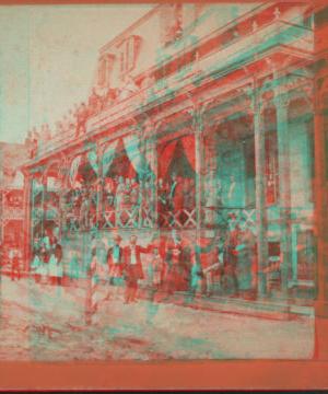 [Group of guests and staff in front of the Hotel.] [ca. 1875] 1870?-1889?