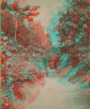 Path to Deer Park. [1859?-1895?]