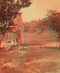 [Barn and fruit trees.] 1867?-1875?