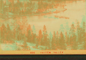 Hayden Valley. 1881-1889