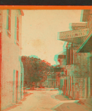 St. George Street. 1868?-1895?