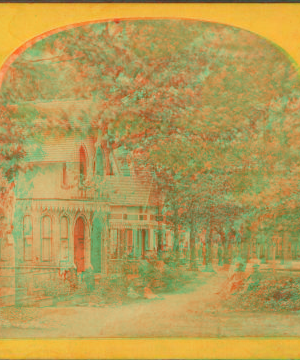 [View of cottages with a person in front of them.] 1865?-1885?