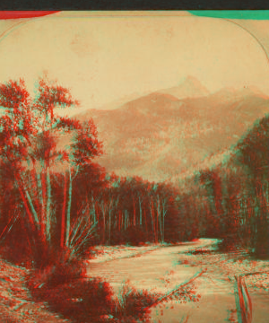 Needle Mountain. Animas Canon [Canyon]. 1870?-1898