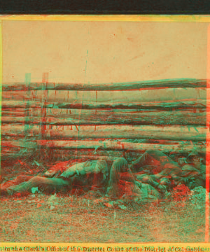 Confederate soldiers as they fell at the Battle of Antietam. 1862-1865