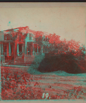 [View of a house with no roof and downed trees around.] 1878