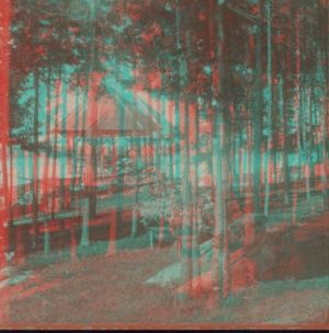 [View of lakeside gazebo and hammock through trees.] 1870?-1890?