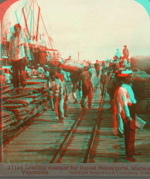 Loading steamer for United States ports, Maracaibo, Venezuela. [ca. 1900]