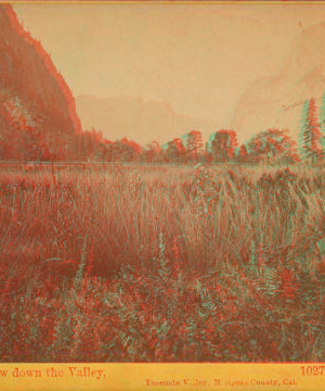 View down the valley. Yosemite Valley, Mariposa County, Cal. 1861-1873 1861-1878?