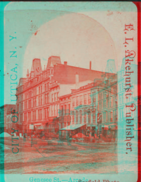 Genesee Street, Arcade. [1866?-1900?]