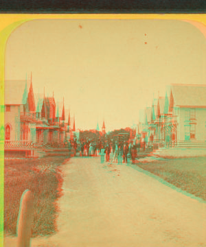 [View of people in the road, with cottages on either side.] 1868?-1880?