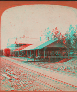 Glen bridge pavilion and Devil's Punch Bowl. [1865?-1890?]