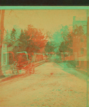 [View of a residential street with houses and a buggy.] 