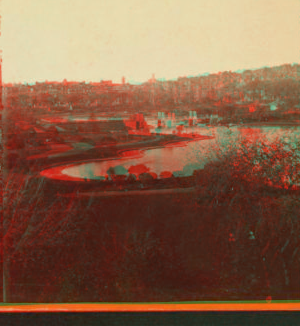 View in Public Garden. 1865?-1890?