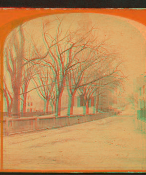 [View of a tree-lined street.] 1859?-1885?