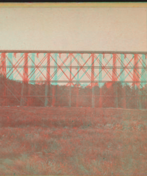 Section of Trestle Bridge on the New York, Boston & Montreal  Railway, at East Tarry Town, N.Y. [ca. 1873] [1865?-1915?]