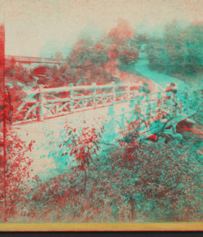 [Rustic Bridge, Central Park, New York.] [1860?-1875?]