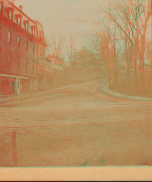 [View of a residential street, Block Island.] 1865?-1895?