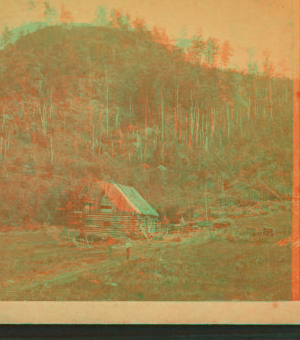 [A log cabin.] 1869?-1880?