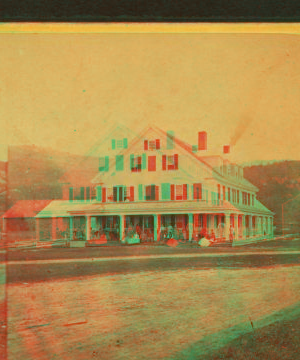 [Group portrait of people on the porch of a big house.] 1865?-1885?