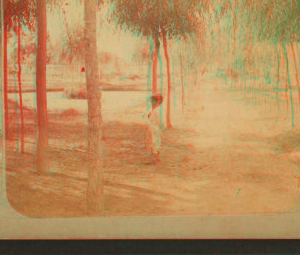 [View of a man standing in the Park.] 1865?-1880? [1876-1879]